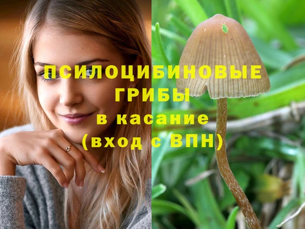 шишки Армянск