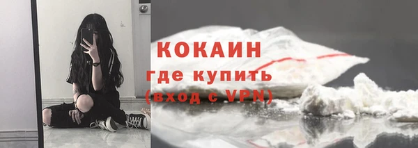 ешки Арсеньев