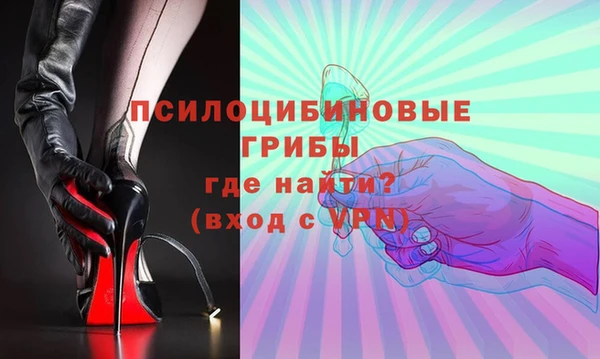 шишки Армянск