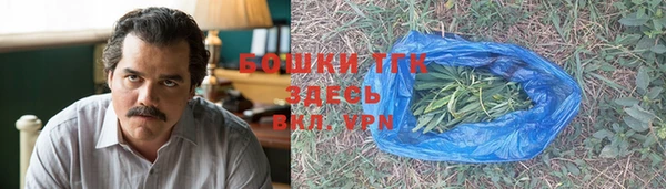 ешки Арсеньев